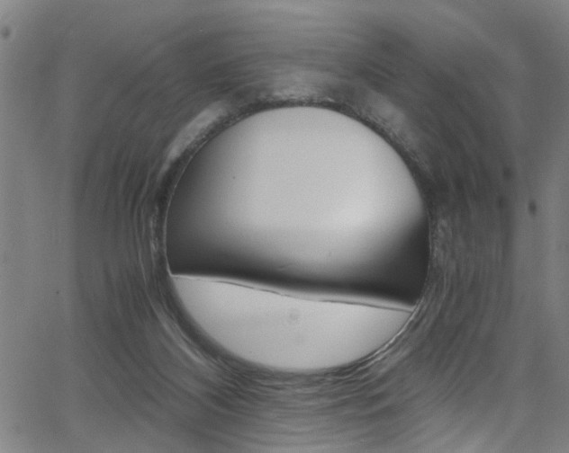 X0000066020116200603031038