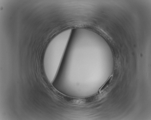 X0000066020117200603031038