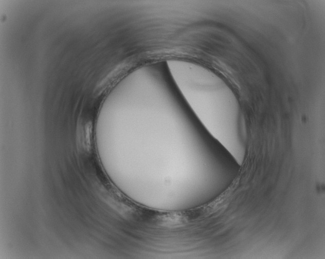 X0000066020118200603031038