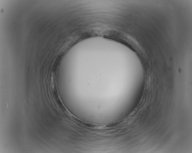 X0000066020121200603031038