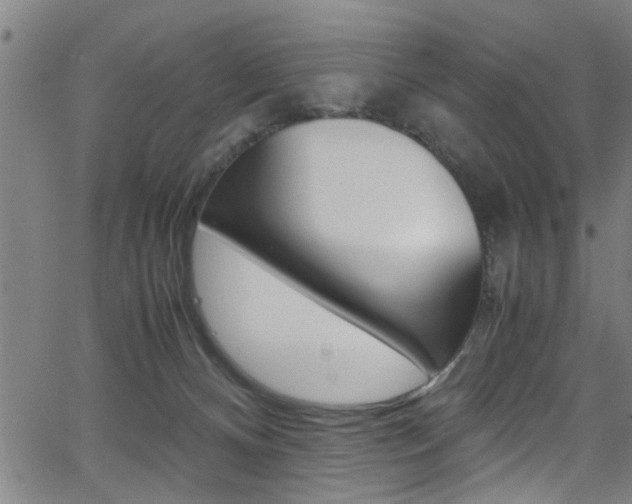 X0000066020128200603031038