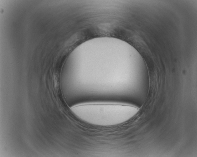 X0000066020131200603031038
