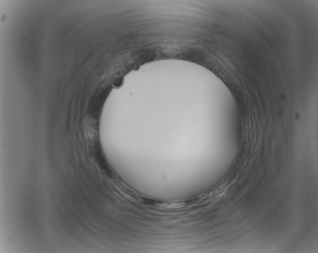 X0000066020135200603031038