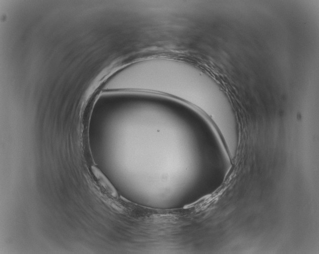 X0000066020150200603031037