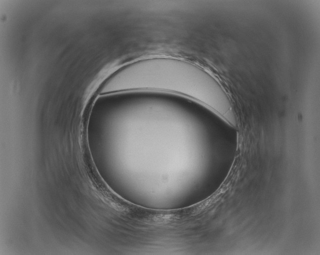 X0000066020152200603031037