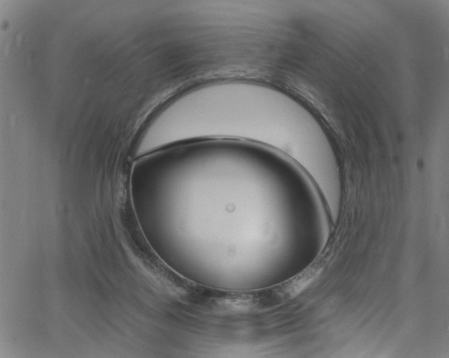 X0000066020164200603031037