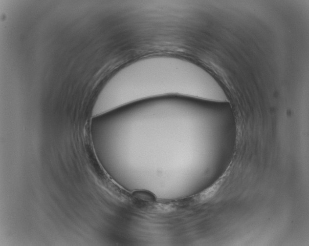 X0000066020166200603031037