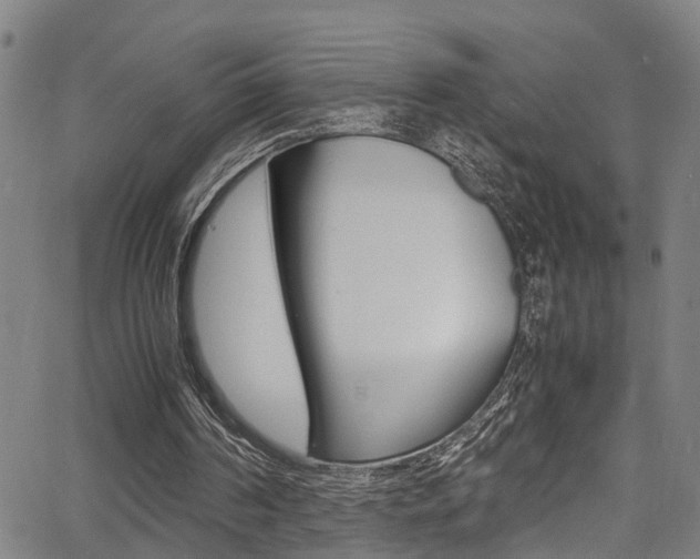 X0000066020194200603031037