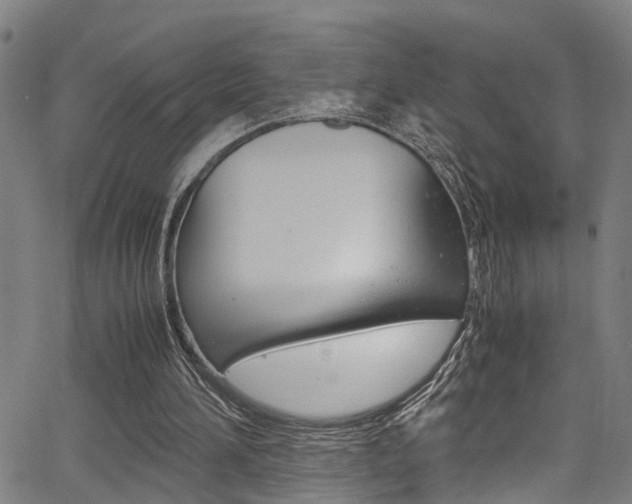 X0000066020196200603031037