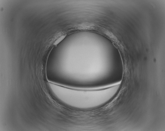 X0000066020201200603031037
