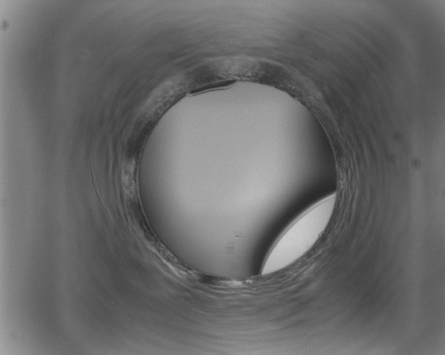X0000066020239200603031036