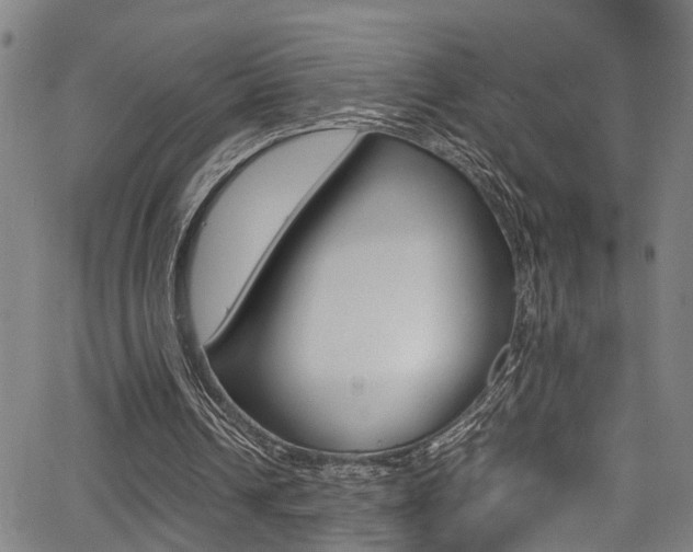 X0000066020242200603031035