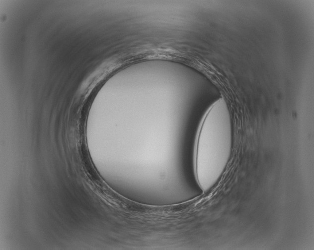 X0000066020291200603031035