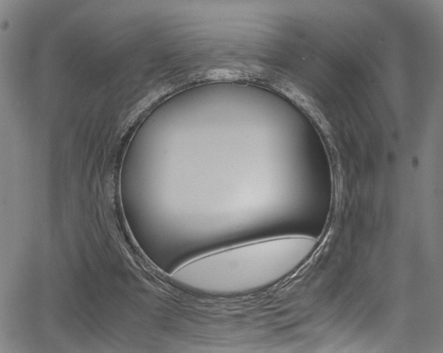 X0000066020297200603031035