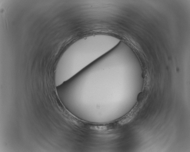 X0000066020361200603031034
