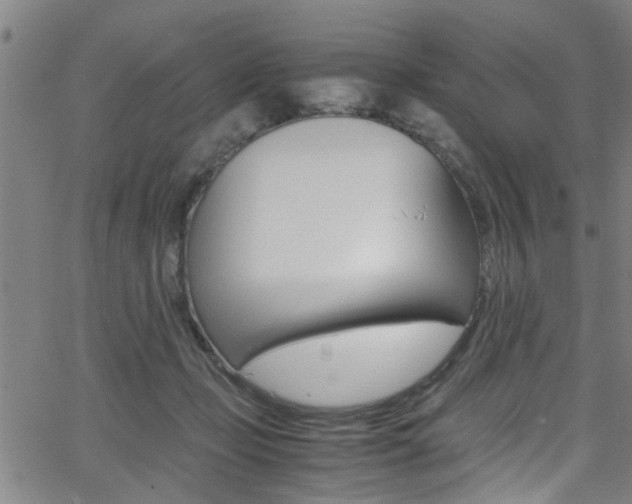X0000066020365200603031034