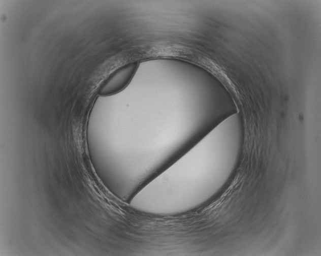 X0000066020386200603031034