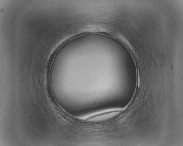 X0000066020387200603031034