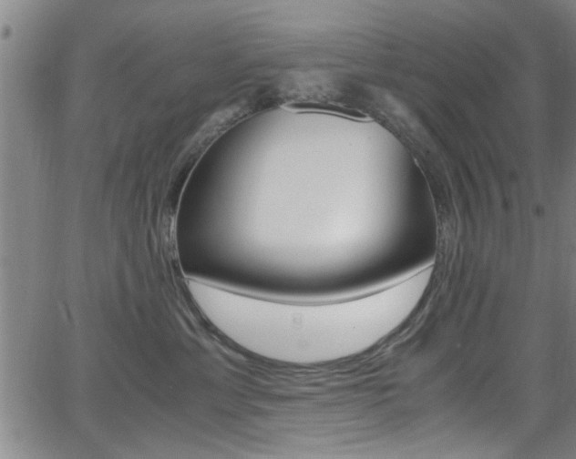 X0000066020429200603031033