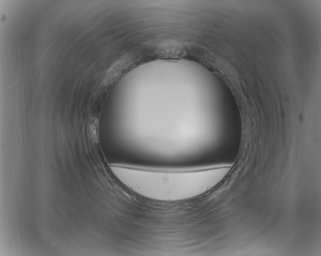 X0000066020432200603031033