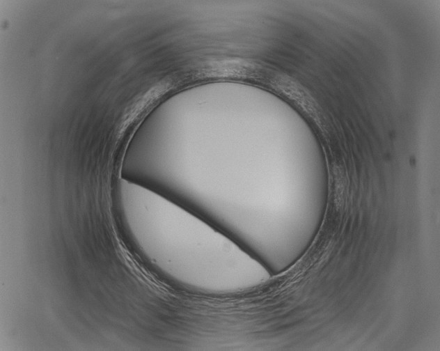 X0000066020482200603031032