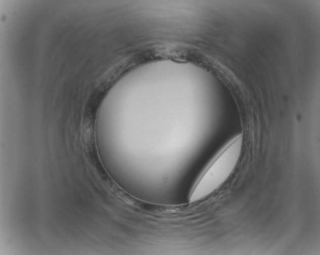 X0000066020513200603031032