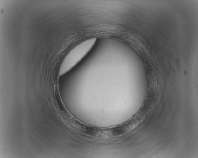 X0000066020599200603031030