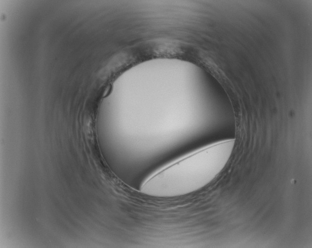 X0000066020619200603031030