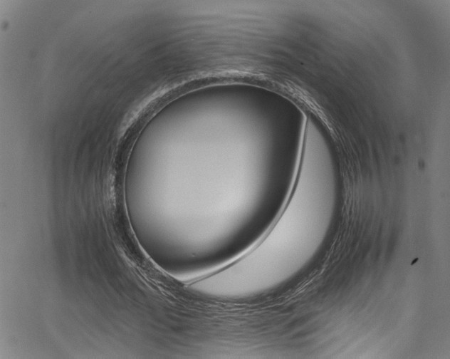 X0000066020676200603031029
