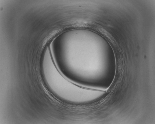 X0000066020677200603031029