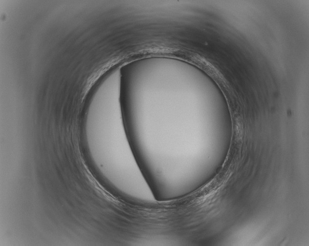 X0000066020725200603031027