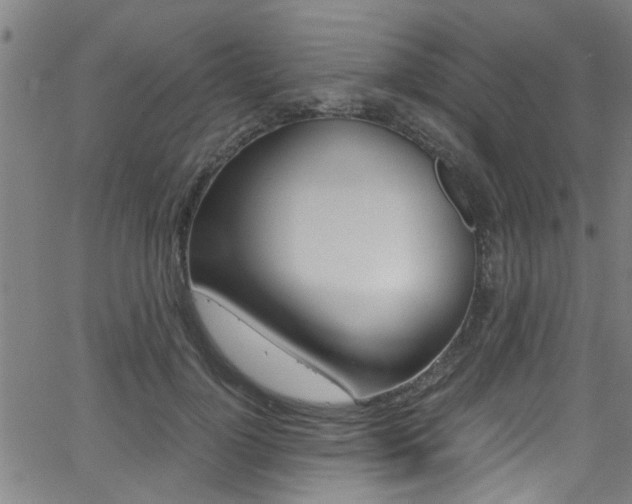 X0000066020748200603031028