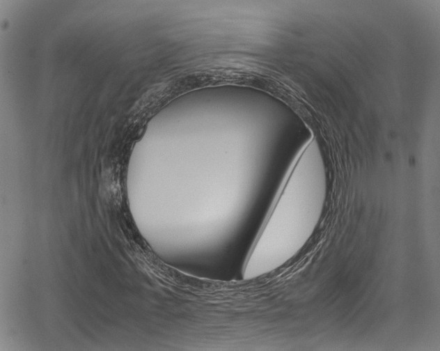X0000066020771200603031027