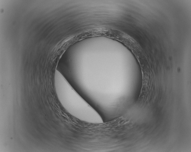 X0000066020773200603031027