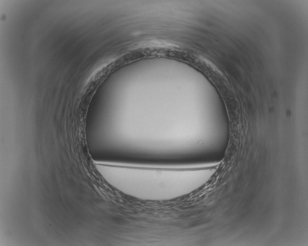 X0000066020775200603031027