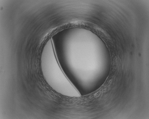 X0000066020776200603031027