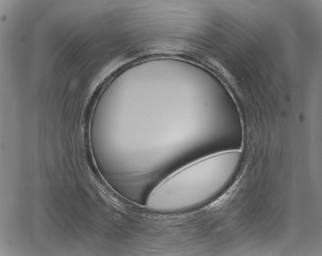 X0000066020779200603031027