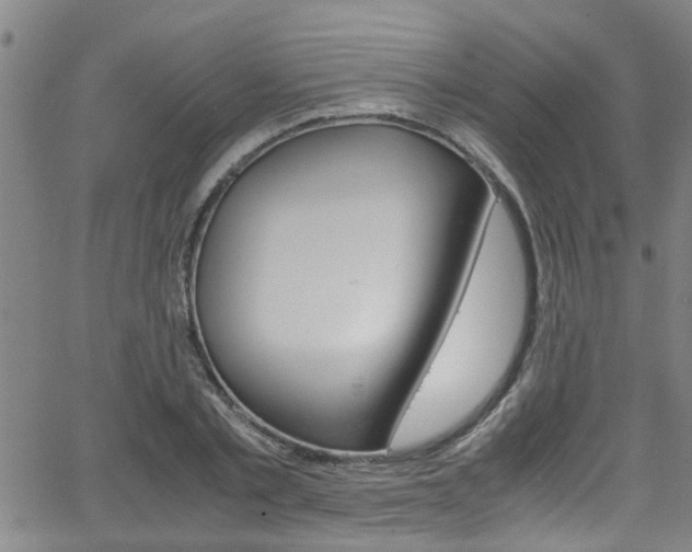 X0000066020789200603031027