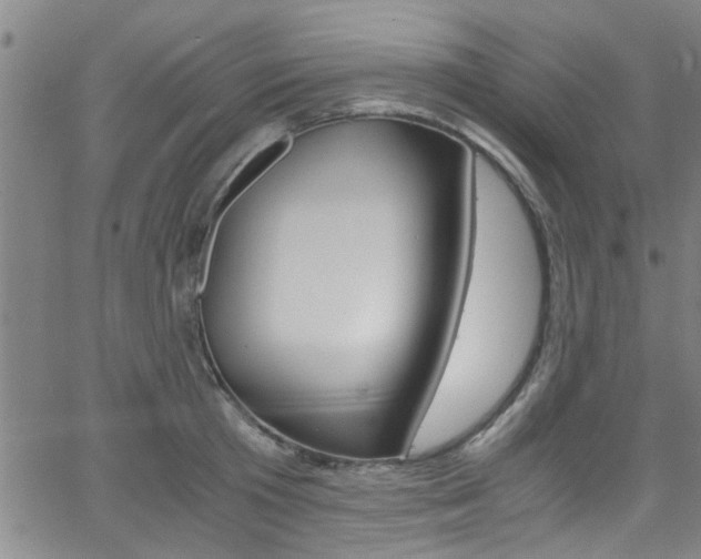 X0000066020801200603031027