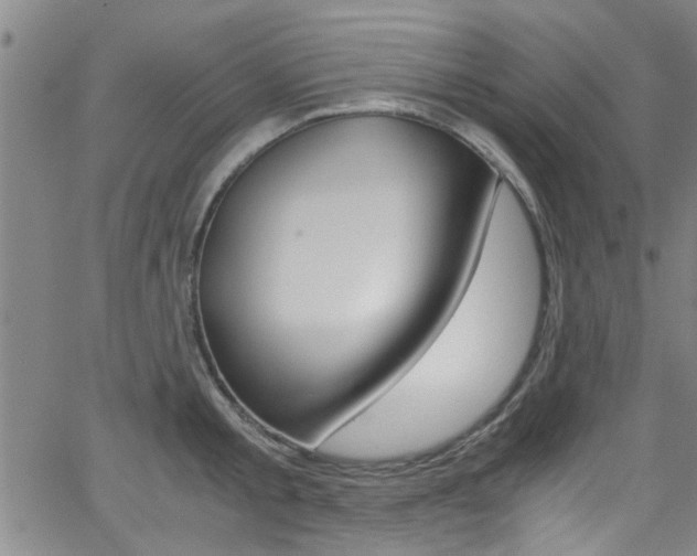 X0000066020805200603031027