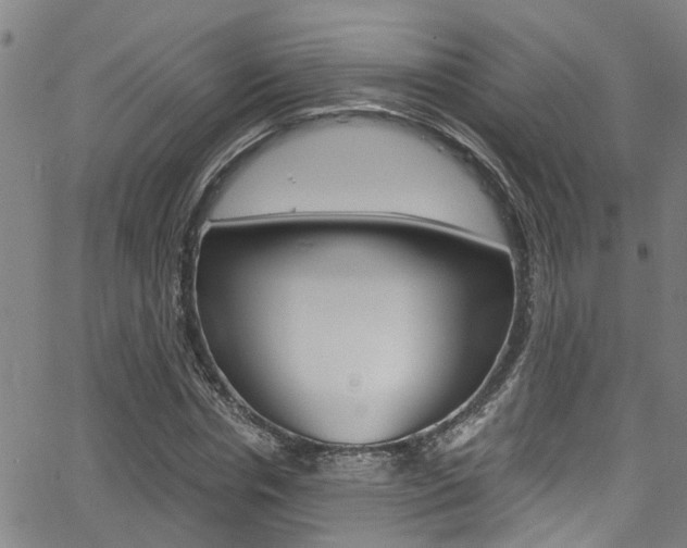 X0000066020826200603031026
