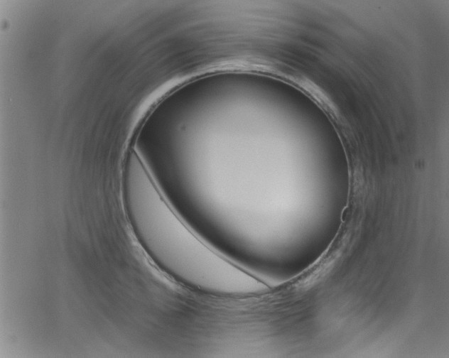 X0000066020854200603031026