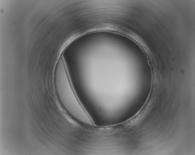 X0000066020858200603031027