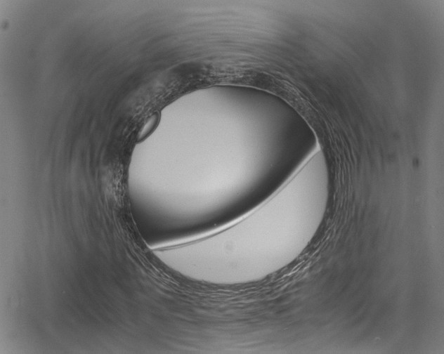 X0000066020867200603031026