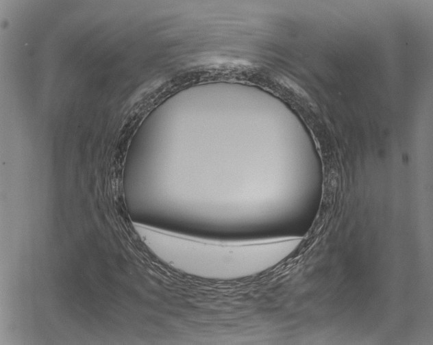 X0000066020869200603031026