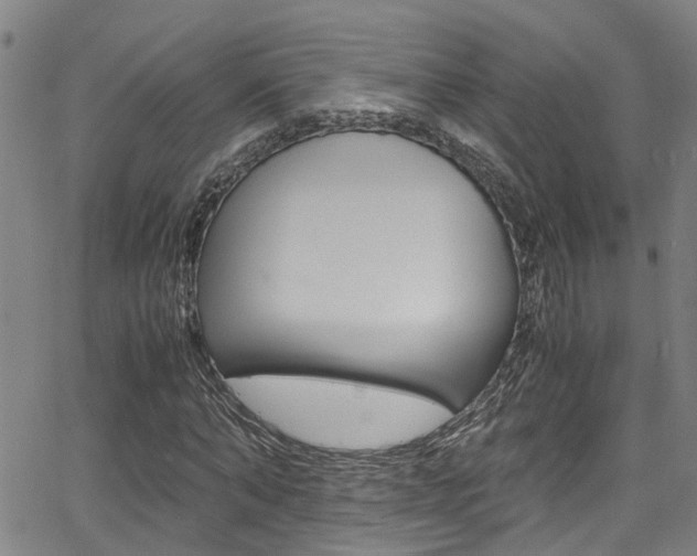X0000066020870200603031026