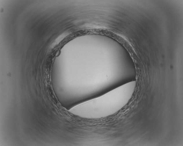 X0000066020871200603031026