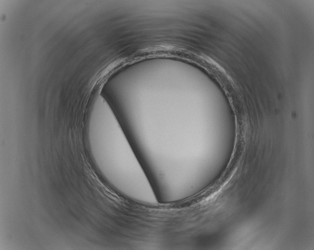 X0000066020921200603031024