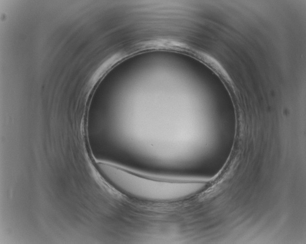 X0000066020946200603031025