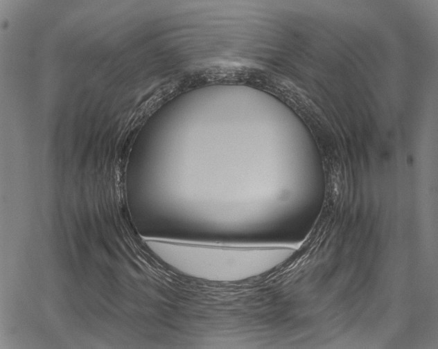 X0000066020964200603031024